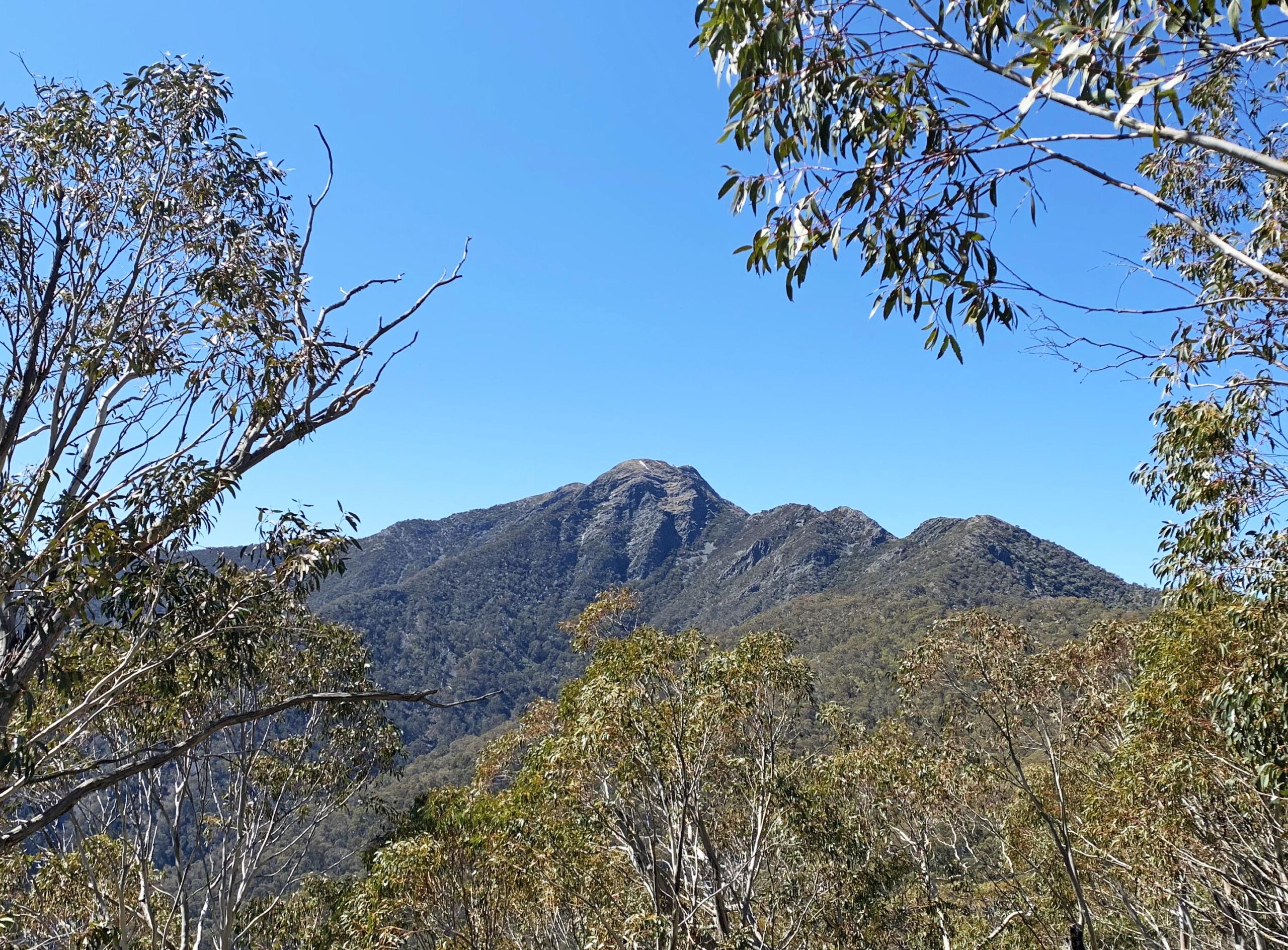 RockWire Route 3 RockWire Via Ferrata Mt Buller